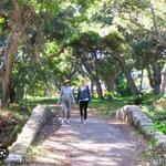 San Ysidro Trail