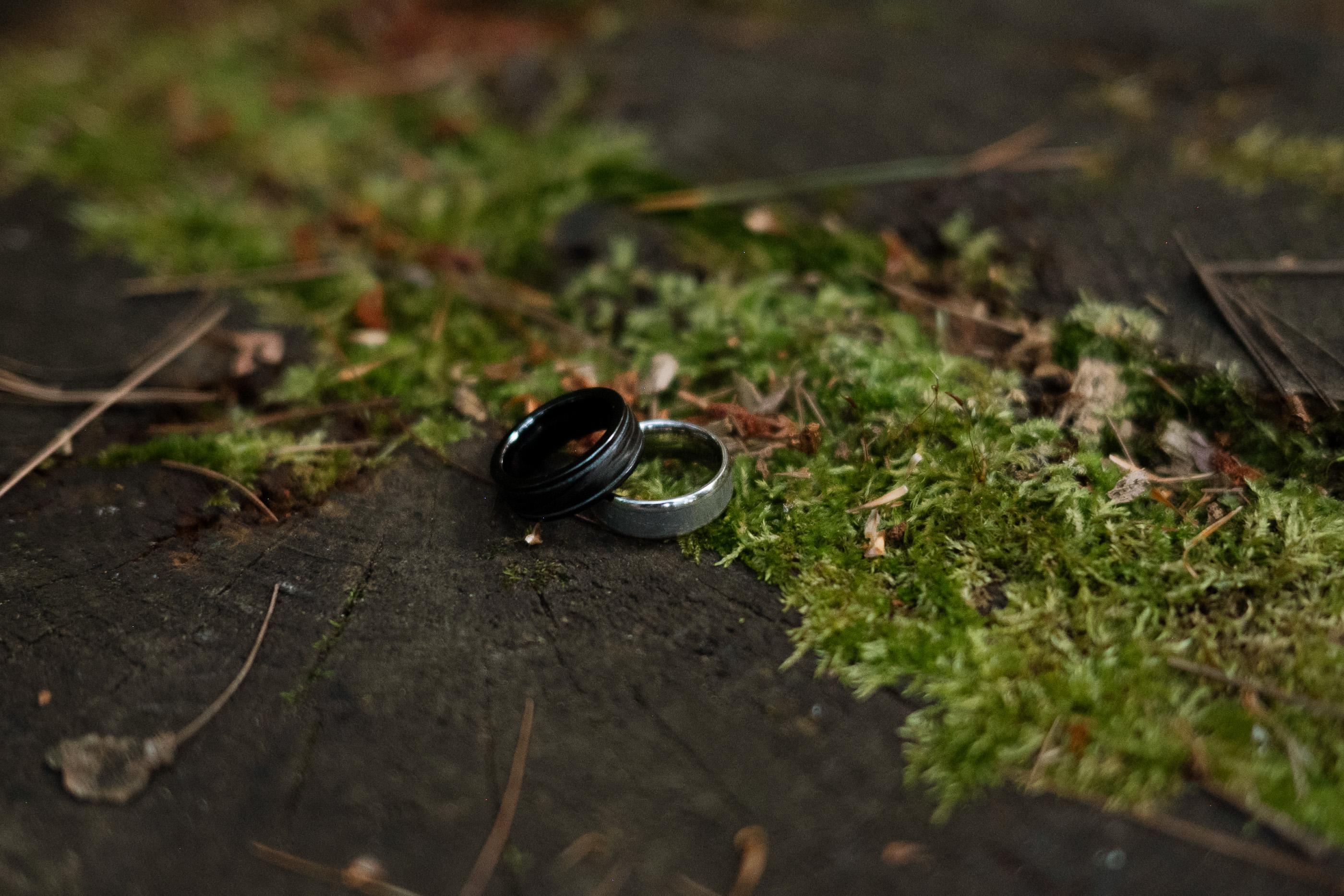 The Wedding Website of Austin Woods and Logan Brown