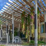 Pérez Art Museum Miami