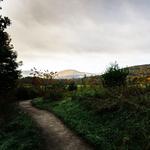 Windham hiking