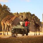 Africam Safari