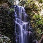 Big Basin Redwoods State Park
