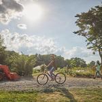 Experiences and Activities at Pendry Natirar