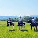 Letchworth Trail Rides