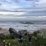 Folly Beach