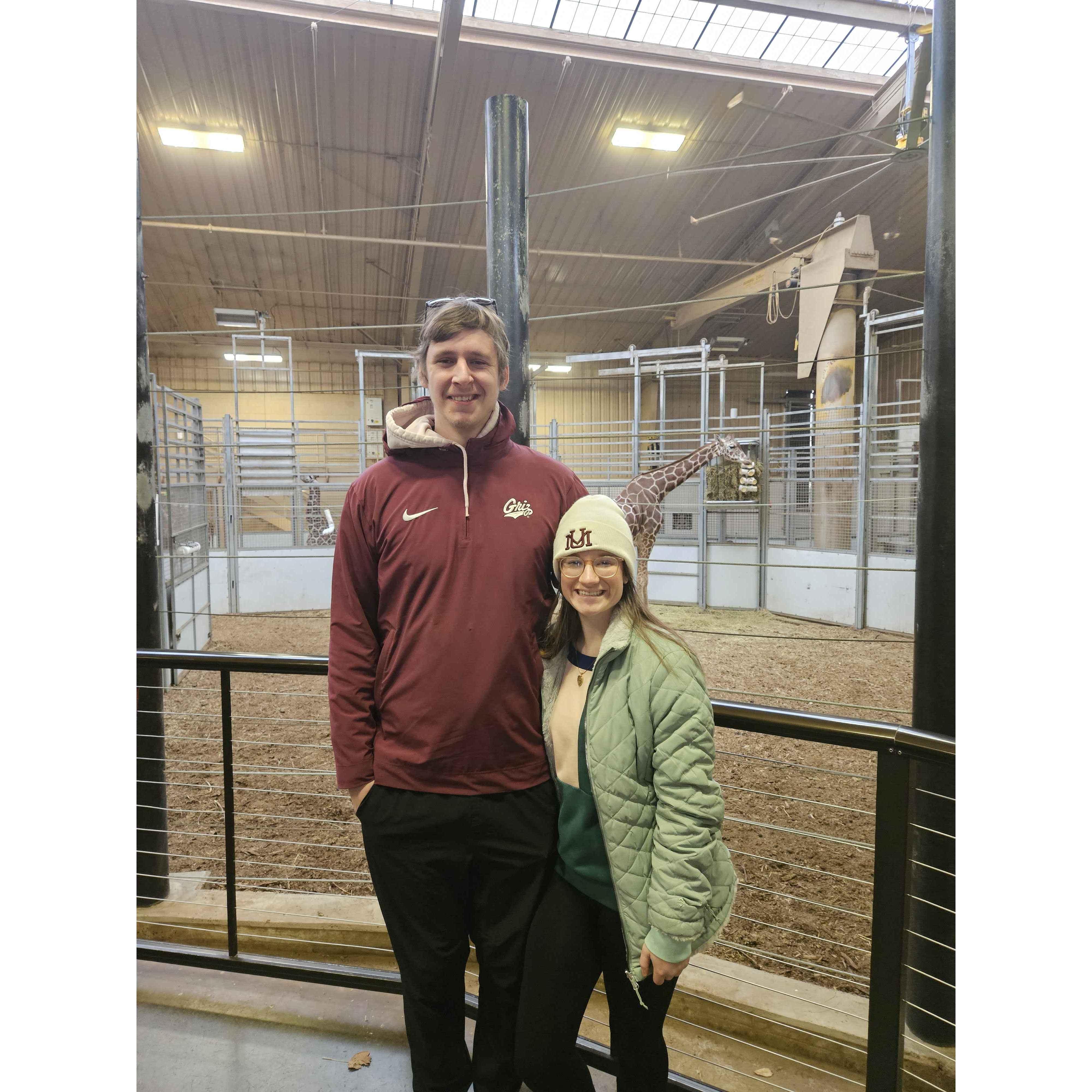Ben visits his real family- giraffes...