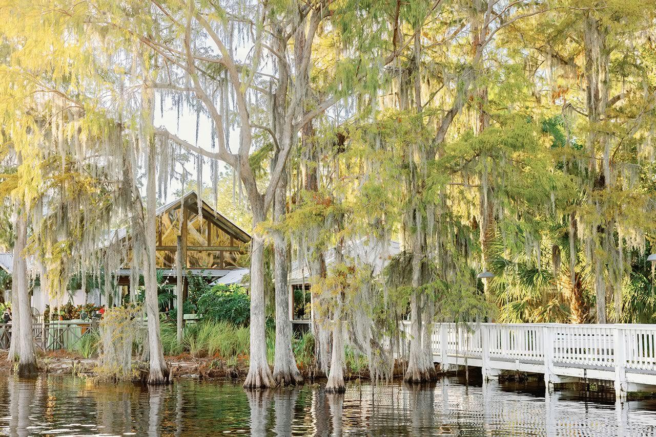 The Wedding Website of Carli Albert and Daniel Yev