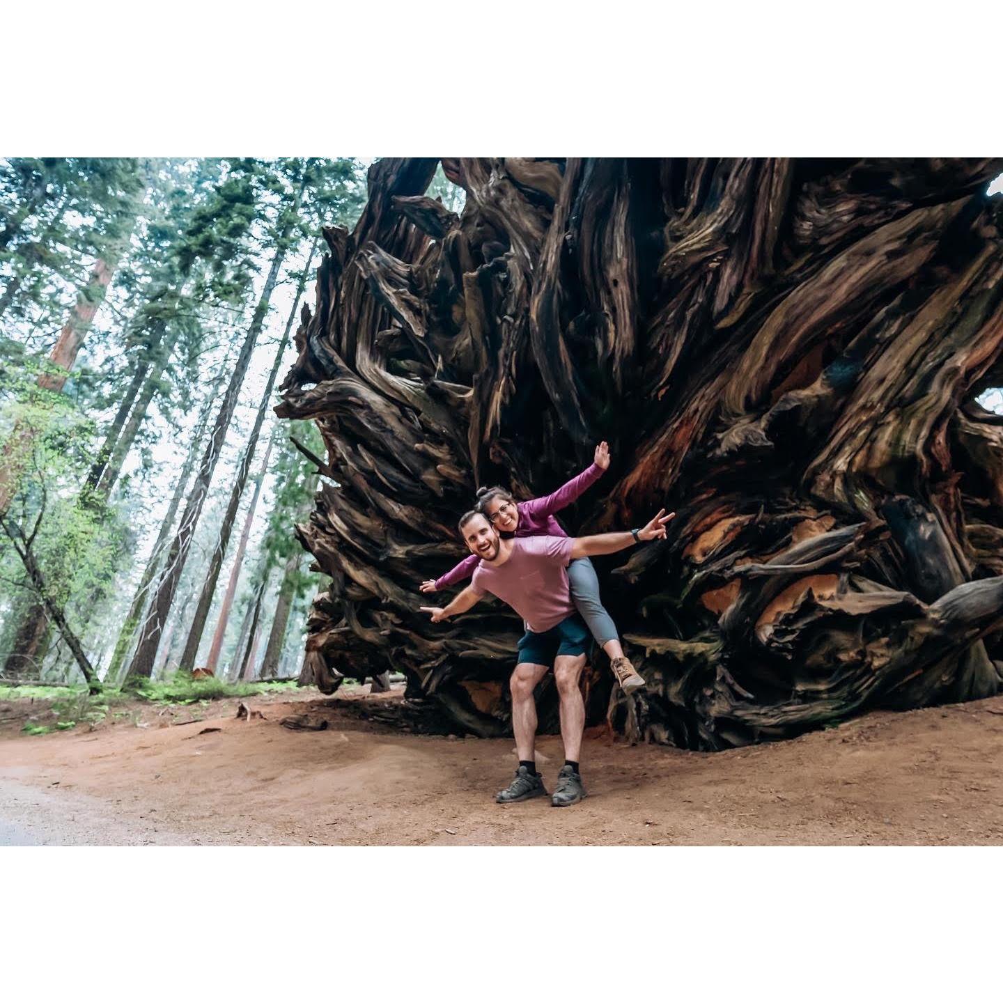 The one when we hiked in Sequoia