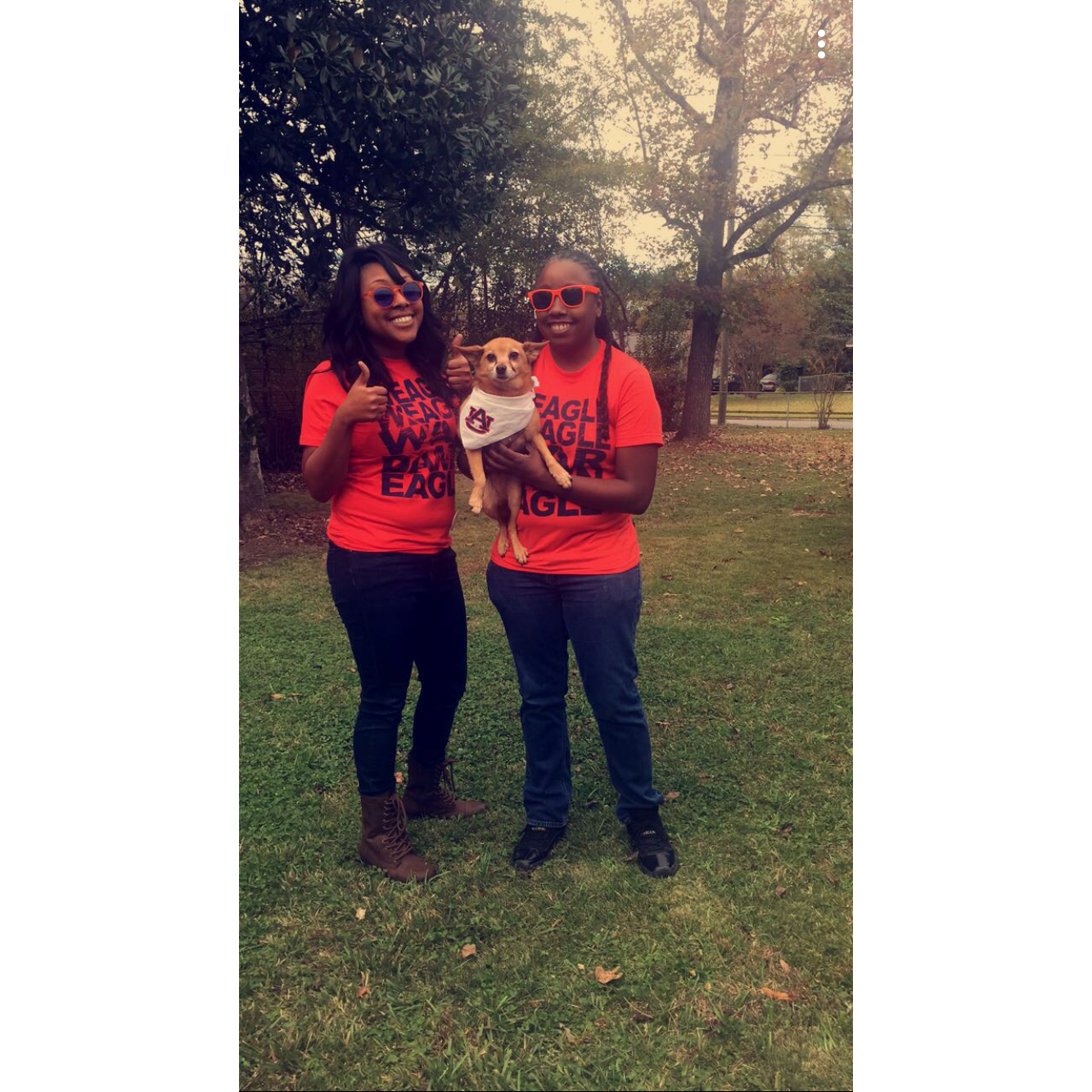 Iron Bowl:War Eagle