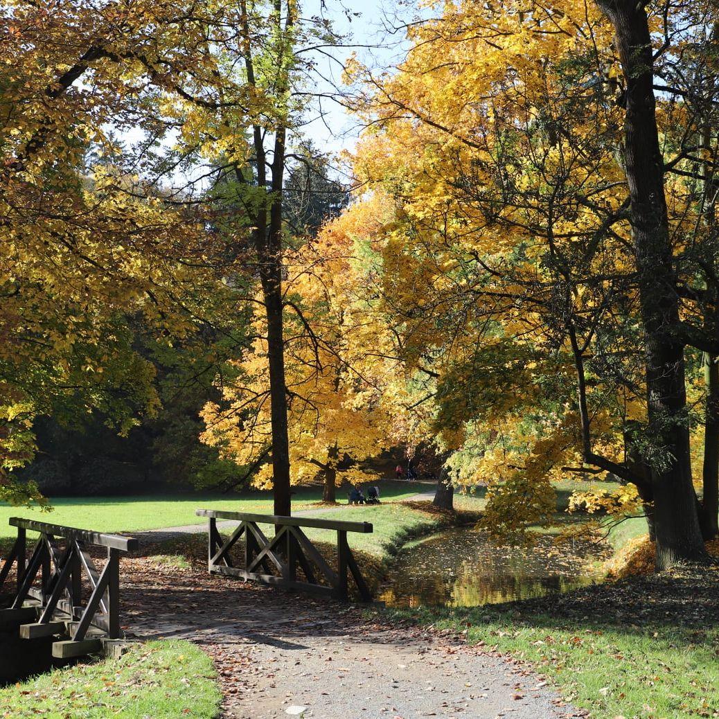 Photos of the park where our wedding will be.