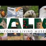 California Living Museum (CALM)