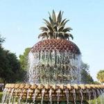 Waterfront Park