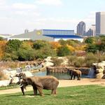 Indianapolis Zoo