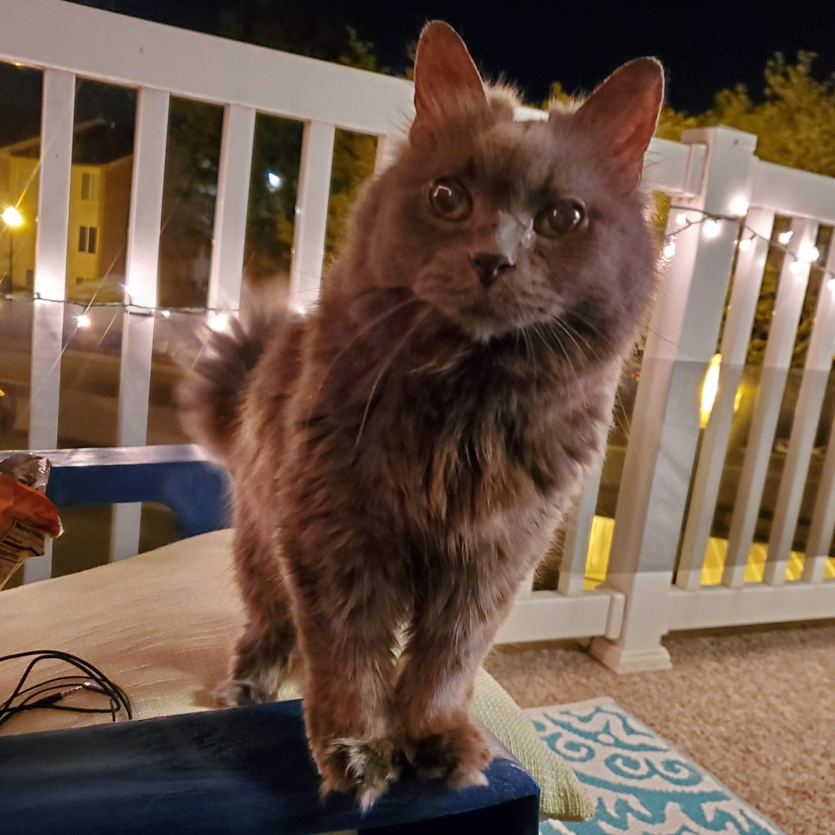 Miss Mabel always in our hearts