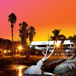 La Brea Tar Pits and Museum