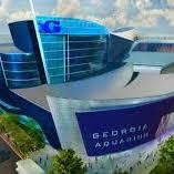 Georgia Aquarium
