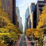 Tudor City - Our Neighborhood (the best photo op in the city)