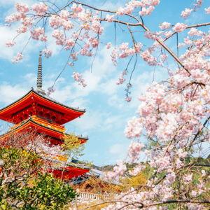 Japan Honeymoon Fund
