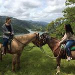 Horseback Riding