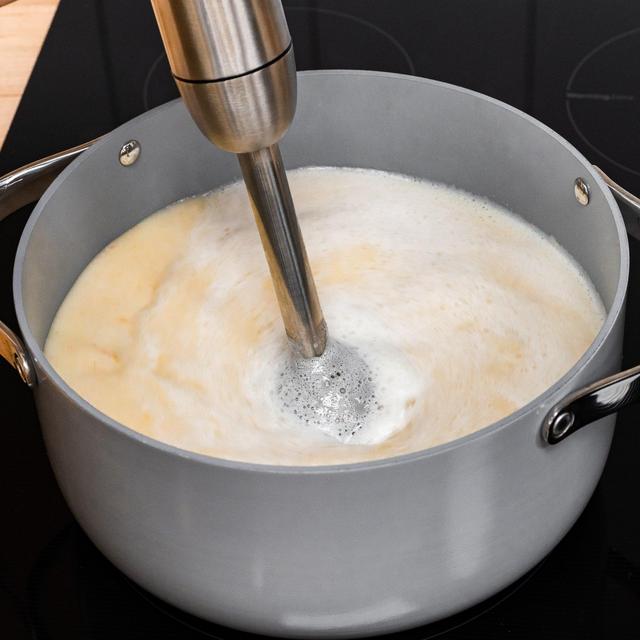 High Speed Immersion Hand Blender