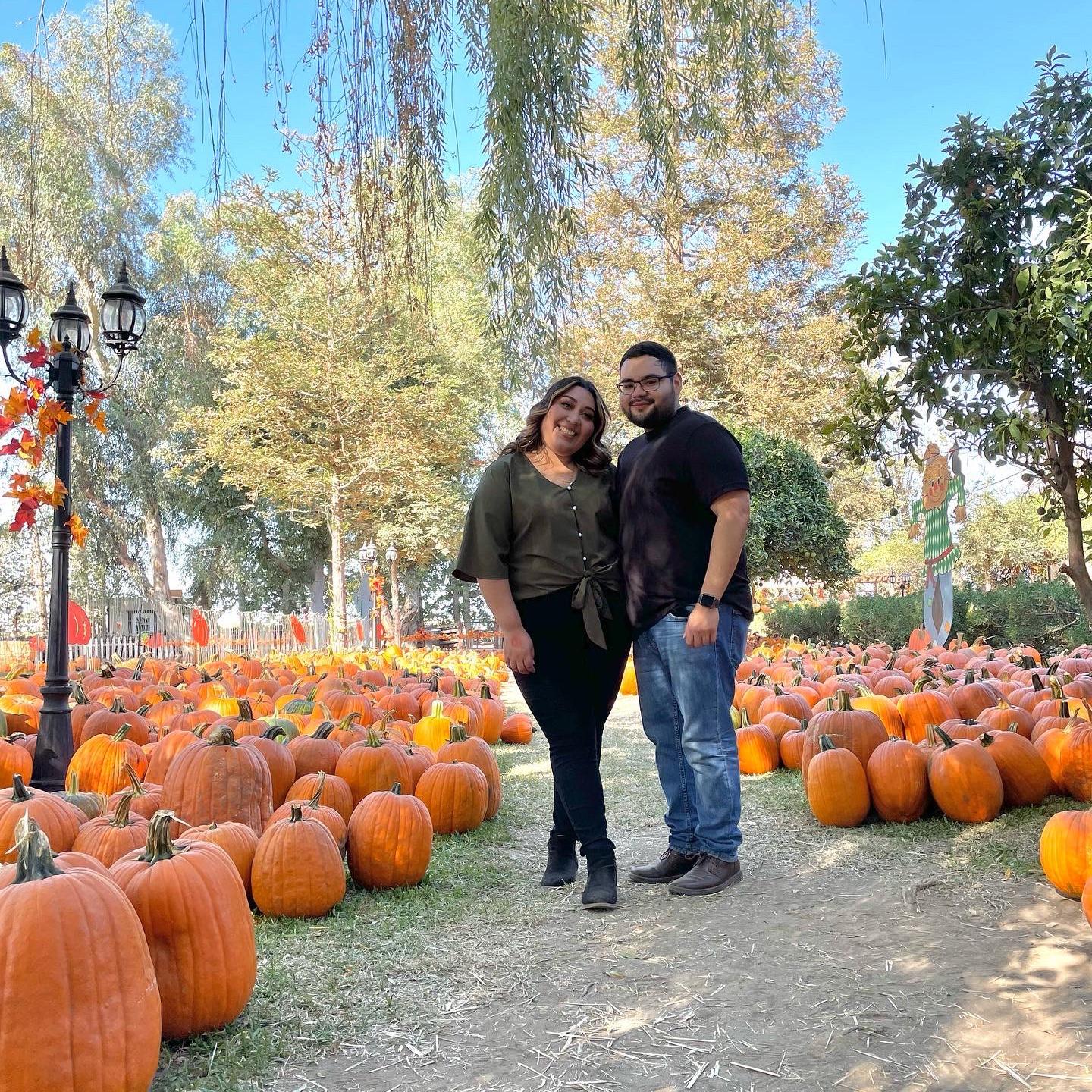 Pumpkin Patch 2022