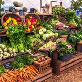 Galleria Red Bank Farmers Market