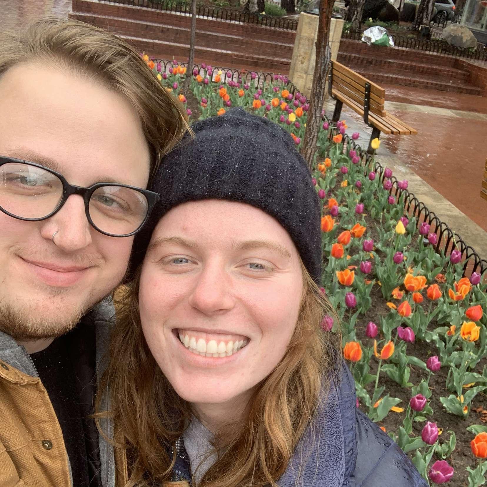 The lovely Boulder tulips