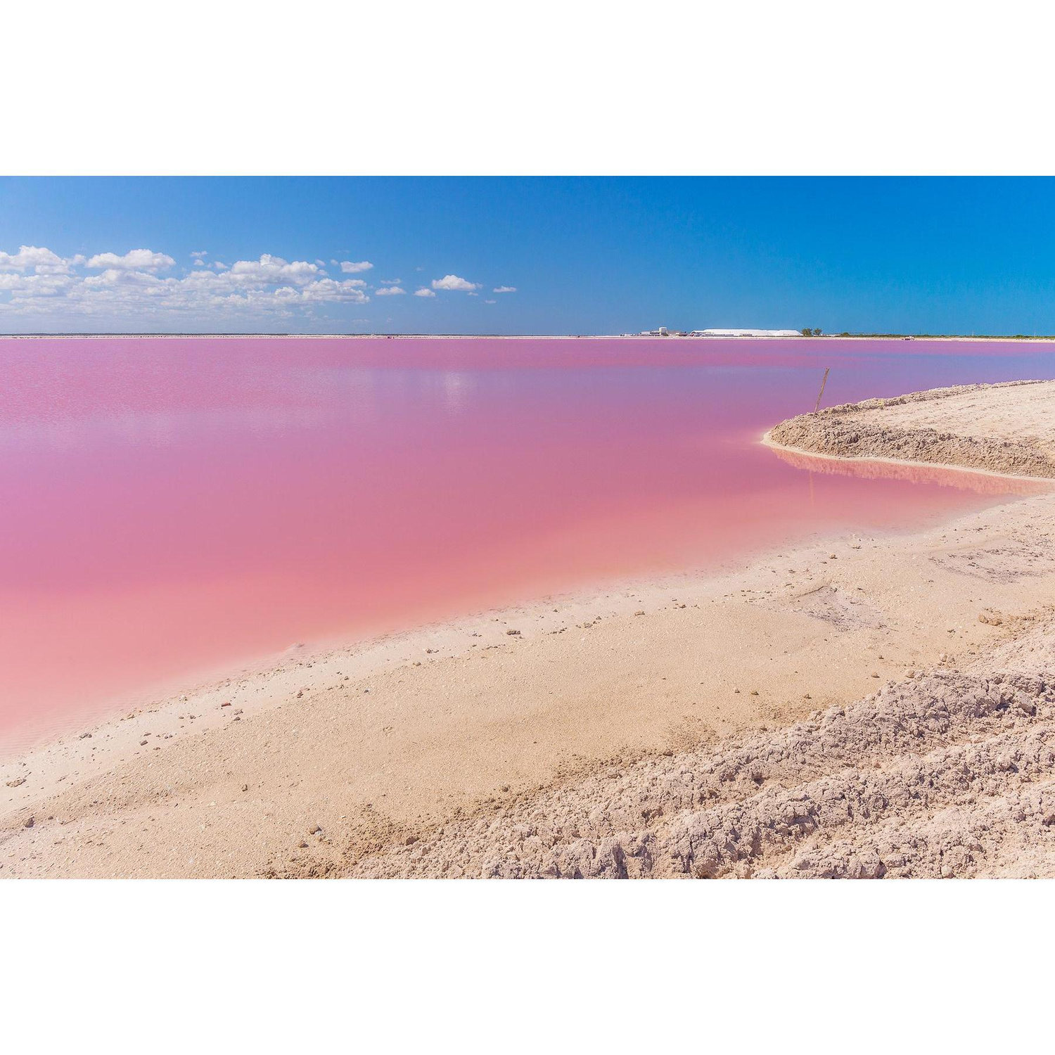 Las coloradas - 3 hr drive from Merida