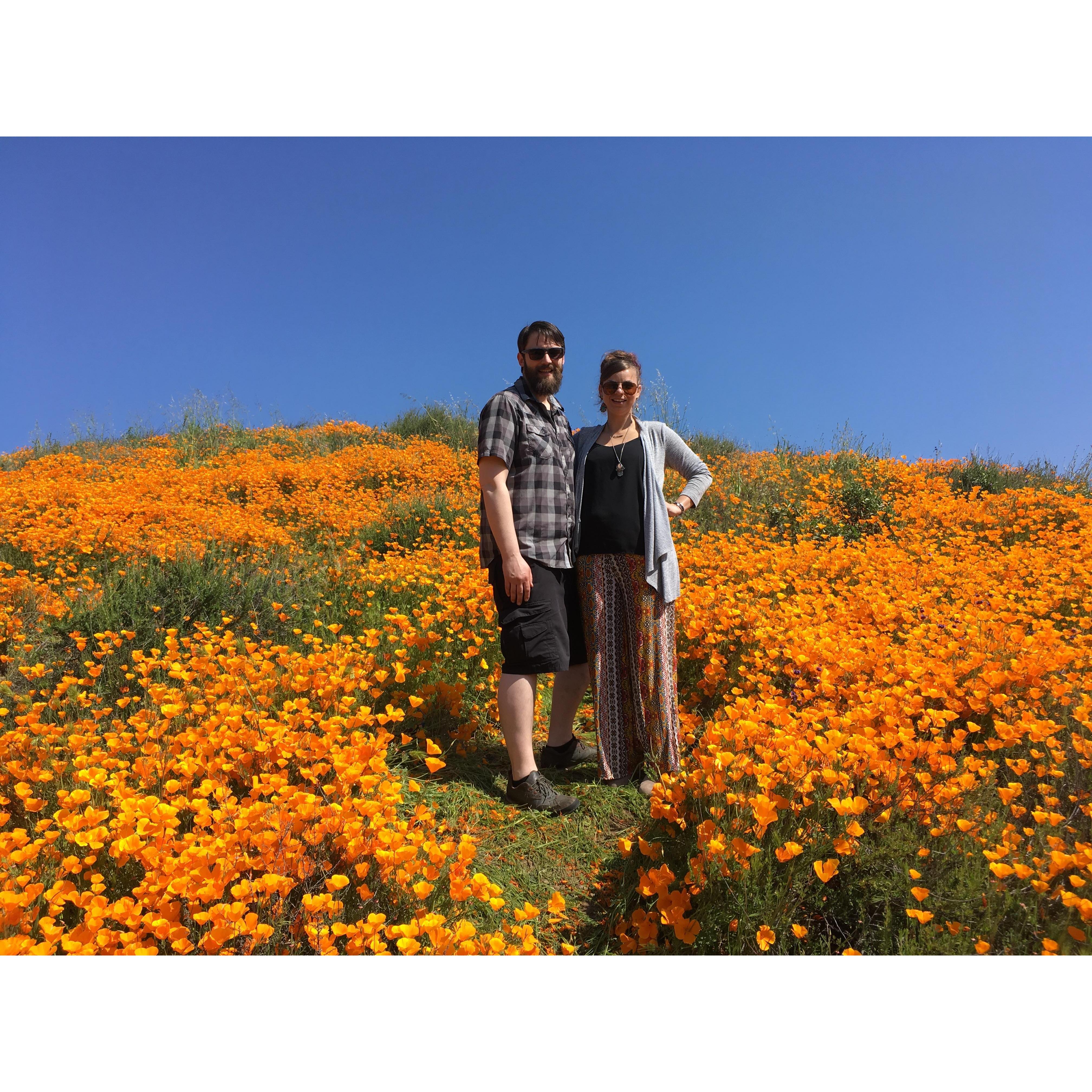 SuperBloom!