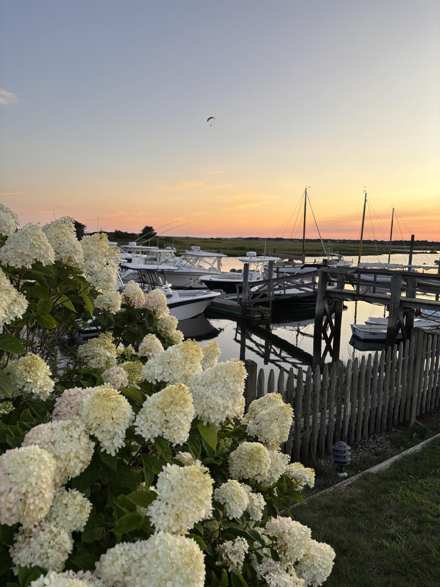 The Wedding Website of Julia Mahoney and Samuel Kelly
