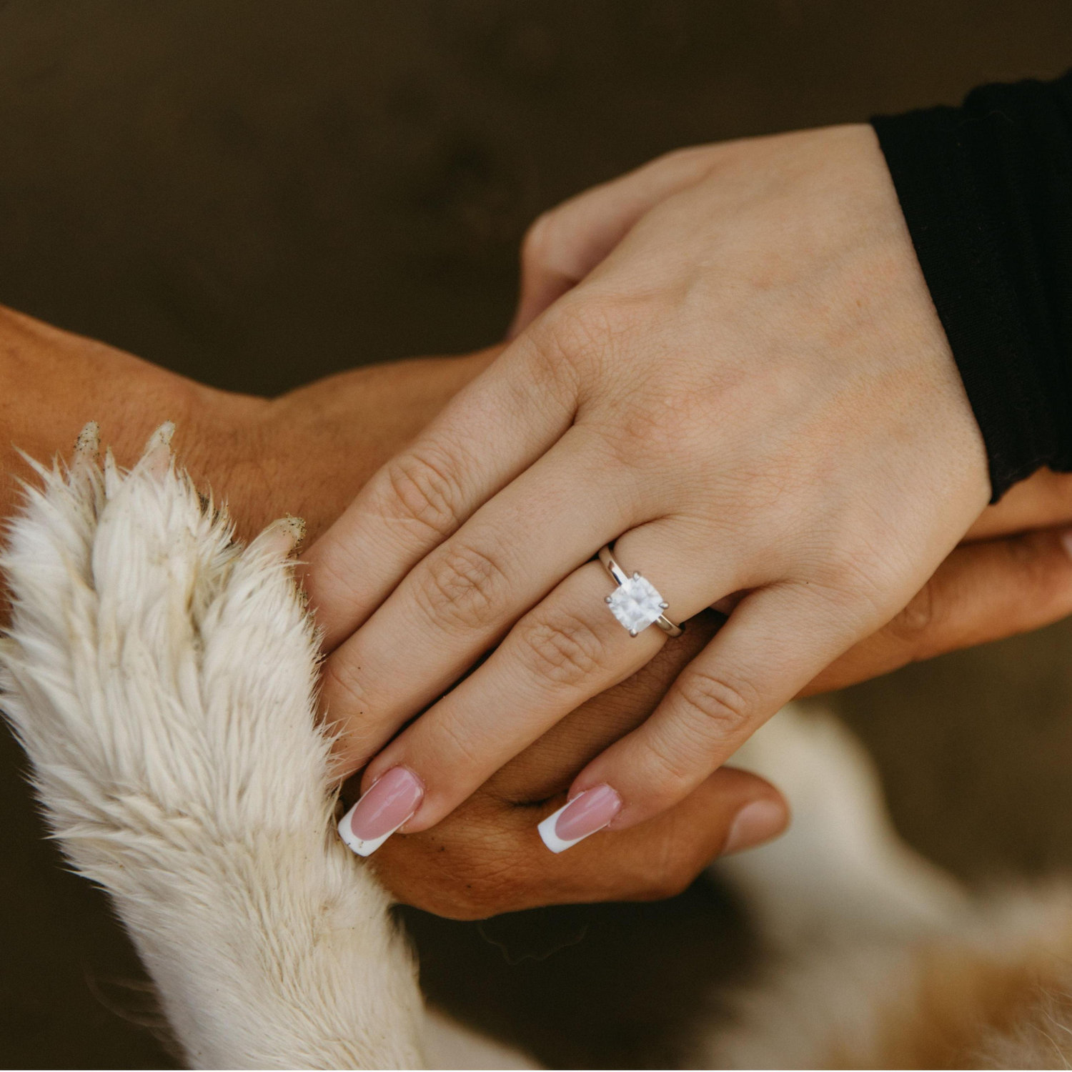 Our engagement photo shoot with our Puppy