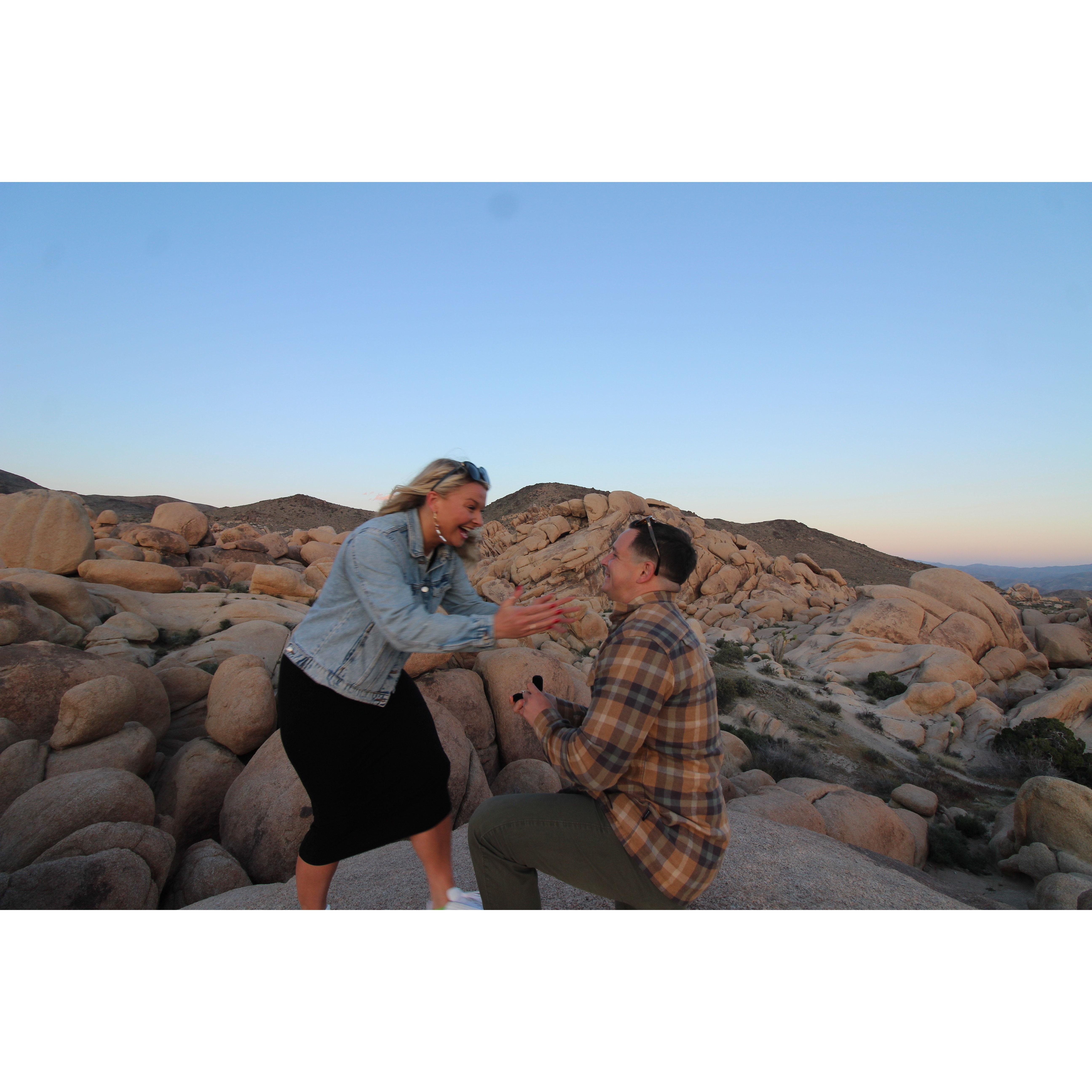 Proposal!
