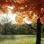 Bryan Park