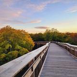 Hiking at Peninsula State Park