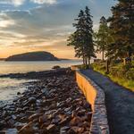 bar harbor shore path