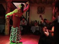Flamenco Ana Maria