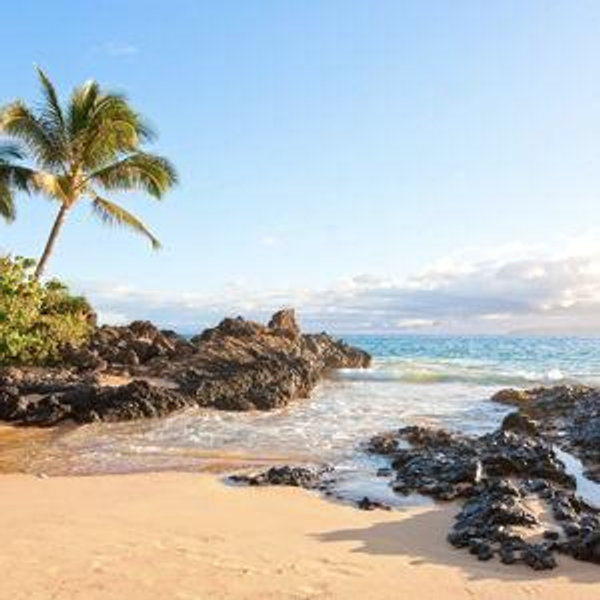 Honeymoon Accommodations
