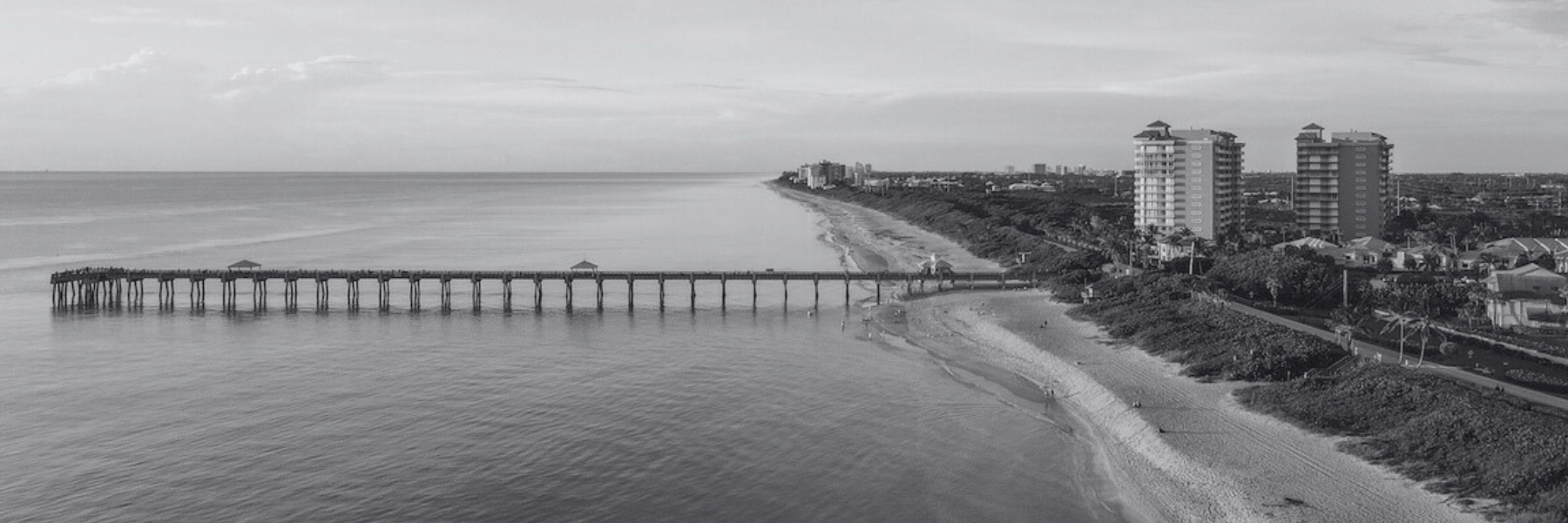 The Wedding Website of Collin Tacy and Katharine Clayton