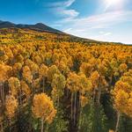 Aspen Trail Loop Parking