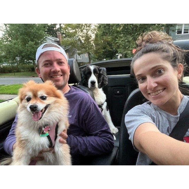 Taking the dogs for a drive in the VW bug.