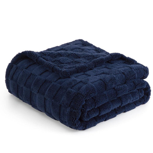 Bedsure Pageant Blue Fleece Blanket for Couch - Super Soft Cozy Twin Blankets for Women, Cute Small Blanket for Girls, 60x80 Inches