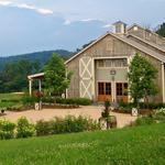 Pippin Hill Farm & Vineyards