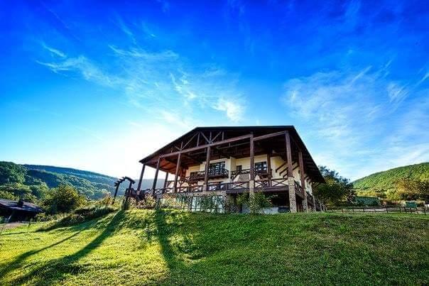 The Wedding Website of Sufian Shwaish and Elena Kravchenko