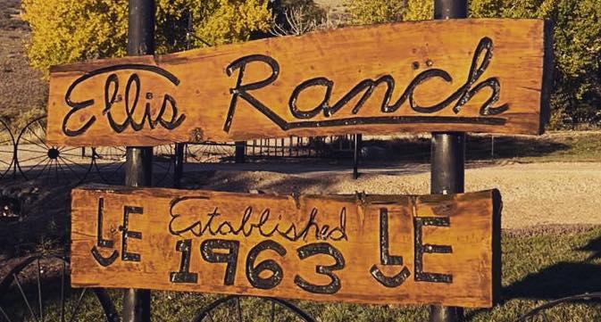 The Wedding Website of Rachel Columbia and Brandon Cline