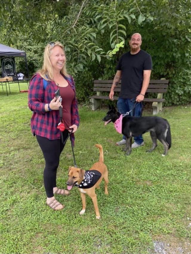 Strolling with the dogs around Rotary Park, Kingston, NY.