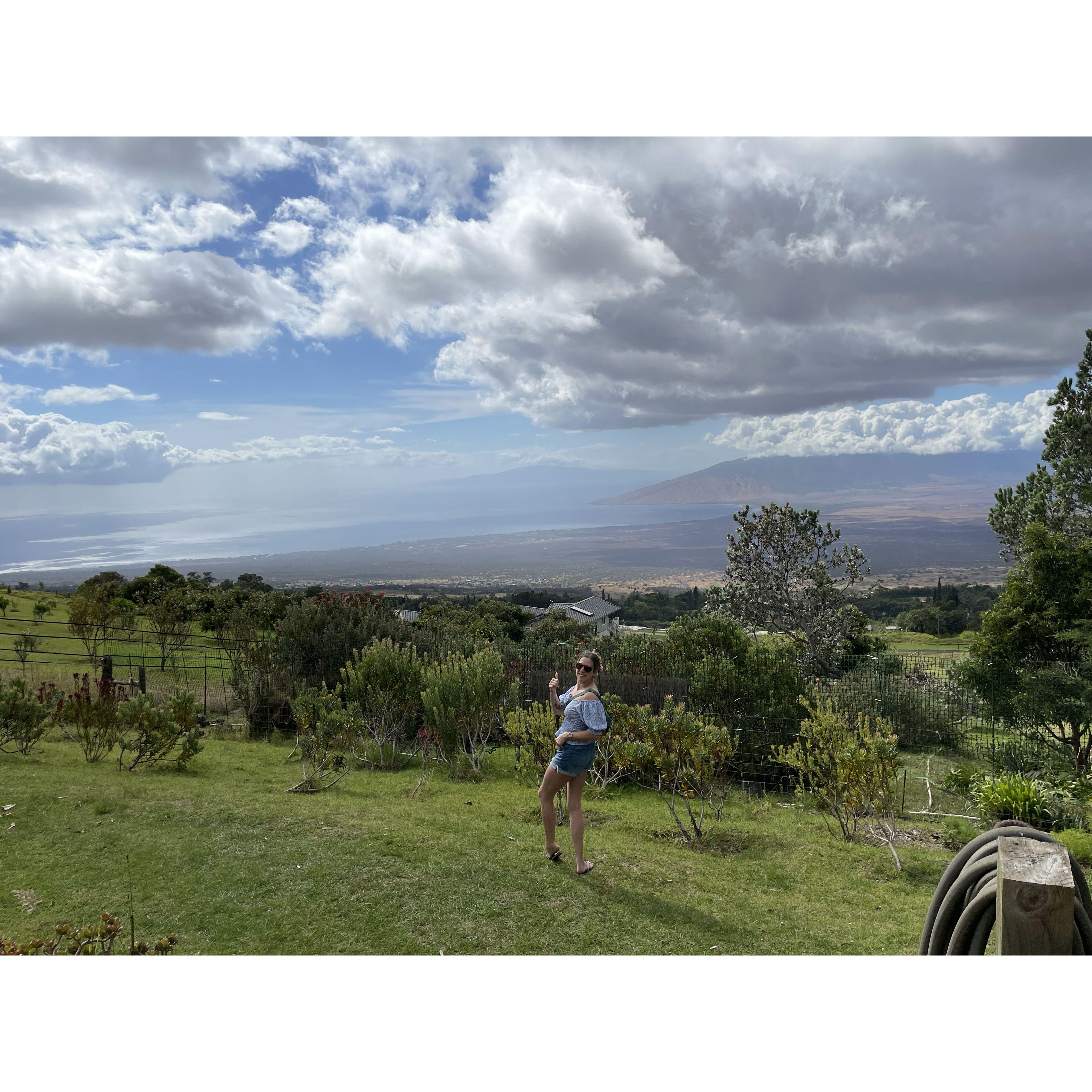 The lavender farm is on over 13 acres and is at an elevation of roughly 4000 feet. It provides amazing views of the island of Maui