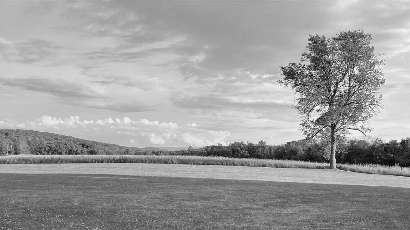The Wedding Website of Hallie Delaney and Chris Schuett