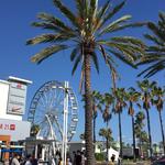 The Pike Ferris Wheel & Carousel (FREE ENTRY)