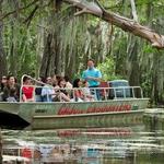 Sightseeing - Swamp Tour - Cajun Encounters