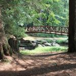 Cook Forest State Park